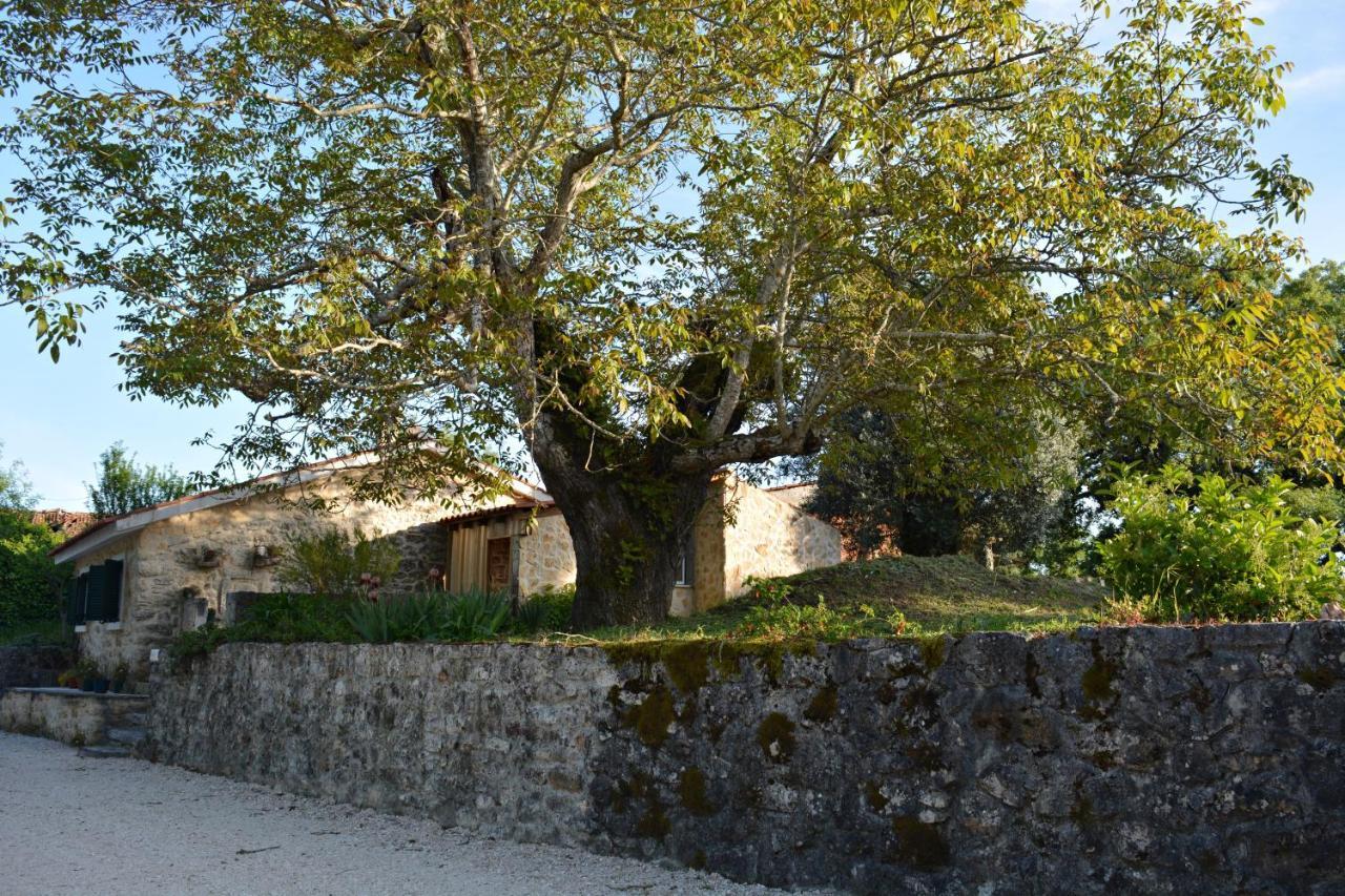 Willa Casa Da Pedra Ancião Zewnętrze zdjęcie